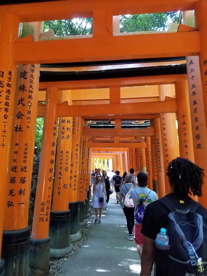 Fushimi Inari Shrine convex gates