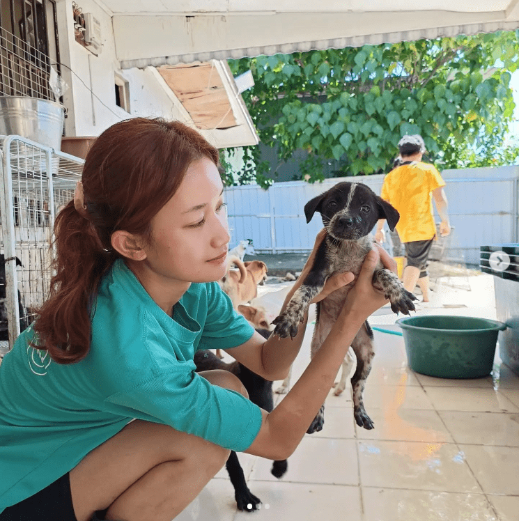 a PawsUp staff member holding a puppy for adoption