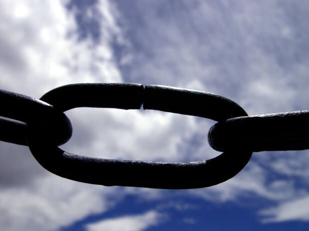Picture of single chain link
