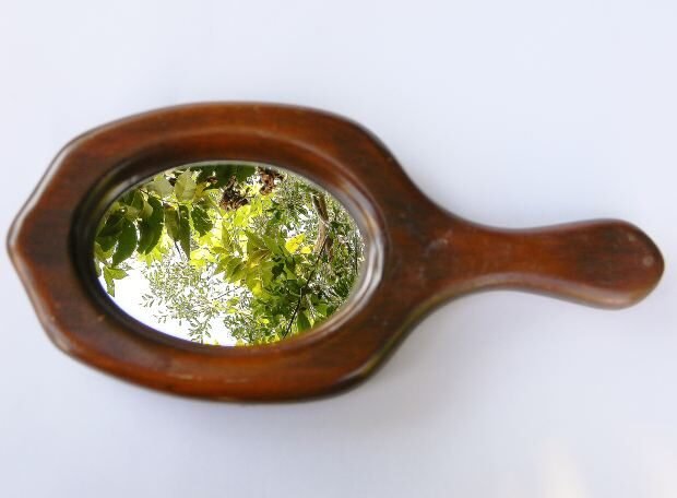 Wooden hand mirror with forest reflected in the mirror