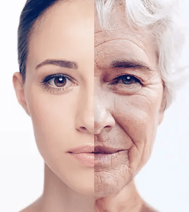 Half of young woman's face next to half of an old woman's face