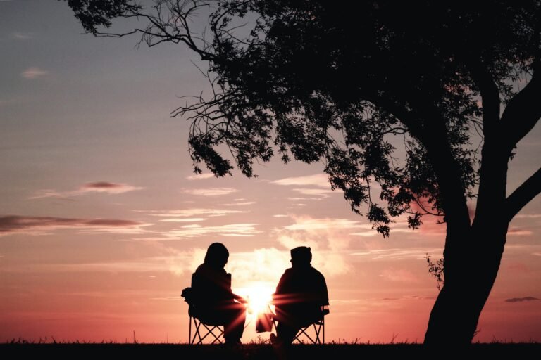 silhouette of two people having a conversation with the sunsetting in the background
